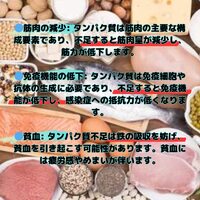 画像419