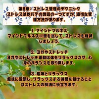 画像478