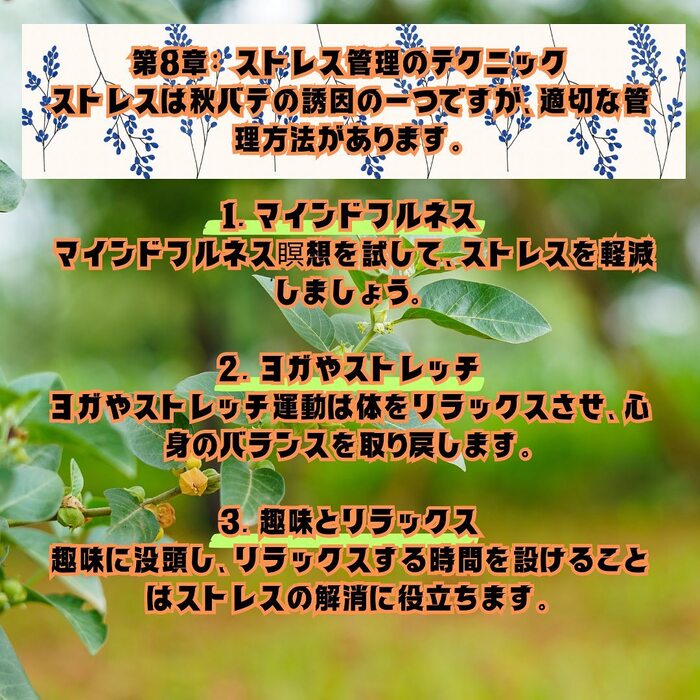 画像478