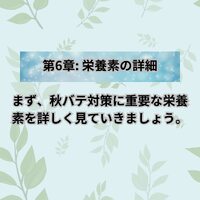 画像498
