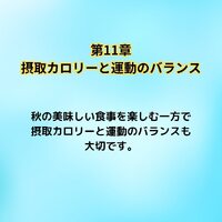 画像512