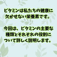画像517