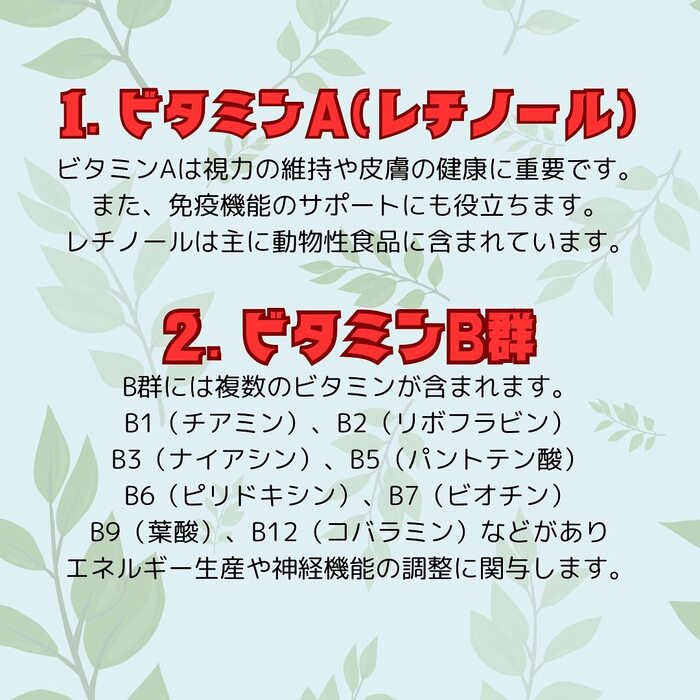 画像518