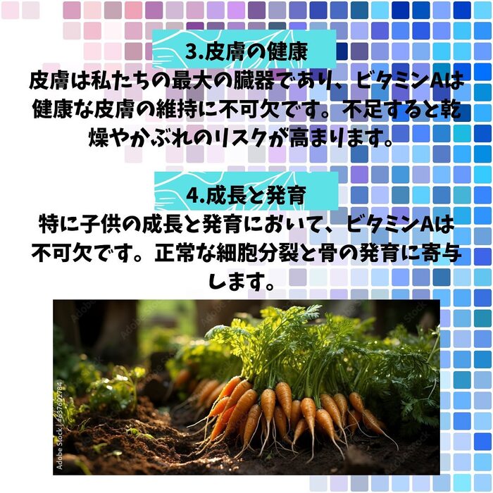 画像526