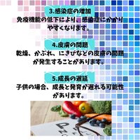 画像528