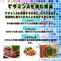 画像529
